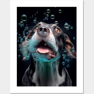 Dogs In Water #1 Posters and Art